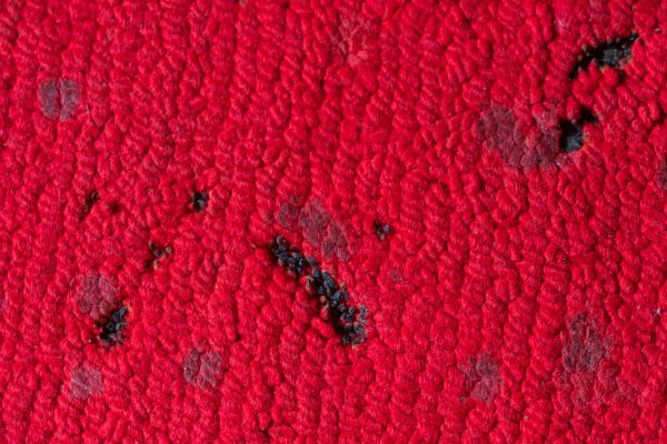Carpet Burn Repair