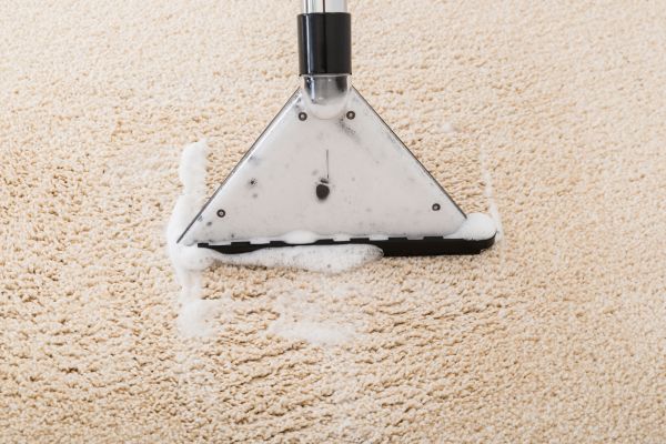 Waterlogged Carpet Cleaning