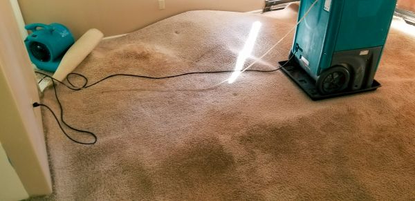 Flooded Carpet Cleaning - Flooded Carpet Cleaning Forney, Texas