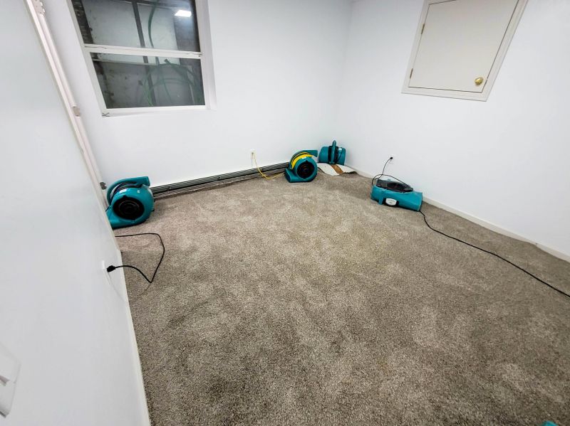 Carpet Repair and Cleaning