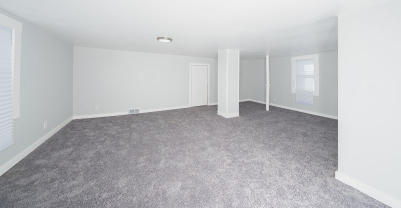 Basement Carpet Replacement in Hunterdon County, NJ