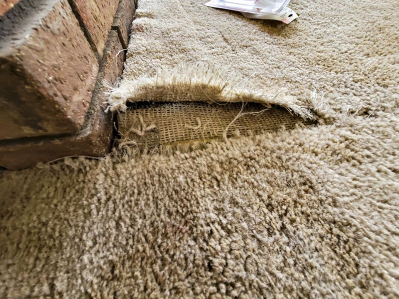 Carpet Burn Repair in Littleton, CO