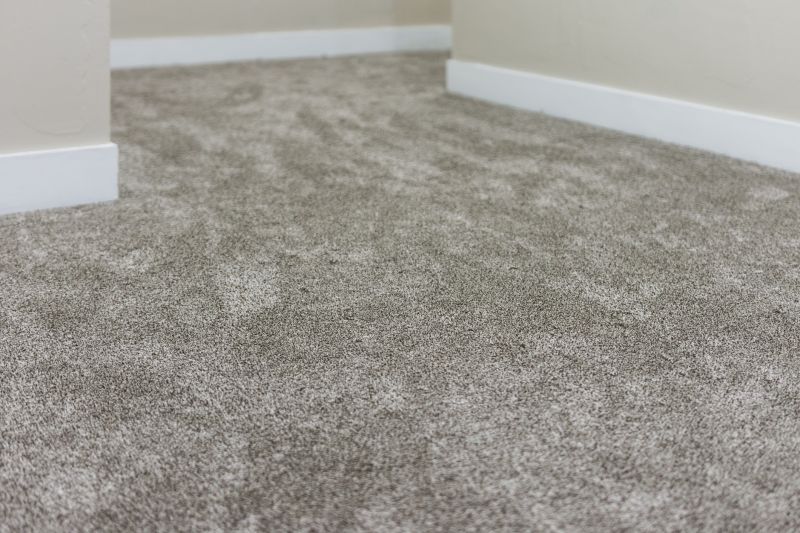 Clean Carpet Surfaces