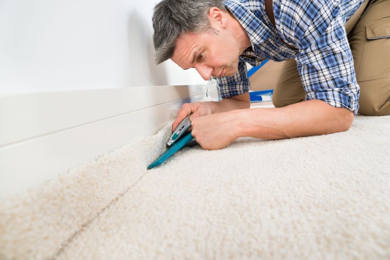 Pet Stain Carpet Repair in Olathe, KS